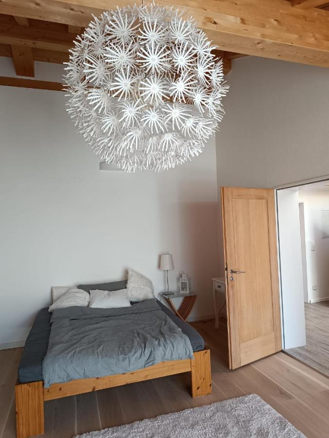 Apartment Unterm Dach Mit Kleinem Seeblick Мюнзинг Экстерьер фото